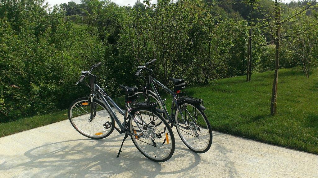 奥特尼亚自然公寓 博德森特克 客房 照片